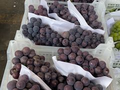 -江杨农产品批发市场