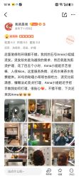 -组合发型