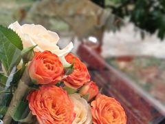 -瑞幸咖啡(时代TIT广场店)