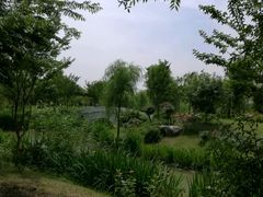-鹅湖玫瑰文化园