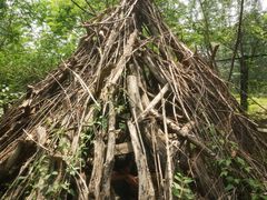 -北京麋鹿生态实验中心