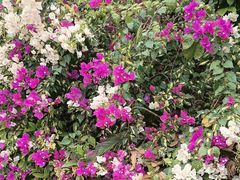 -桃花涧