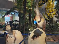 -湖南省地质博物馆