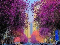 -西安创业咖啡街区