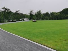 -昆山城市生态森林公园