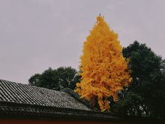 -西安市广仁寺