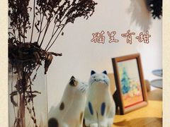 -猫里有甜