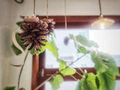 -AHAVA·Fang Baking Studio