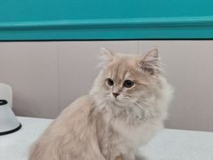 -安安宠医·臻爱宠物医院·宠保定点(营门口路分院)