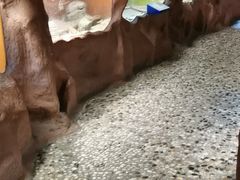 -上海大自然野生昆虫馆(东方明珠·爬宠昆虫探索中心)