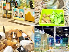 -运河城商业摩尔(太白楼路店)