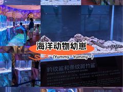 -三亚亚特兰蒂斯度假区