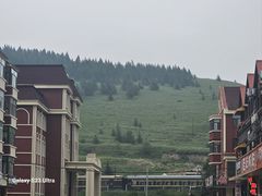 -粘豆包铁锅炖二部(温泉街店)