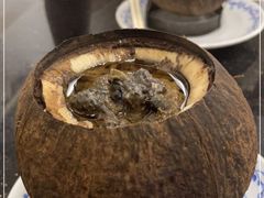 -達揚原味燉品(文明路店)
