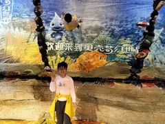 -贝壳梦幻世界