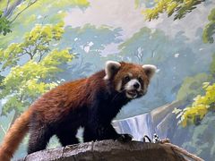 -海合安成都极地海洋公园