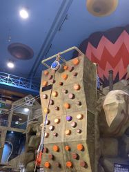 -卡通尼·Safari非洲探索乐园·生日会(金桥国际商业广场店)