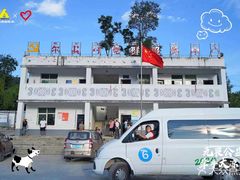 -半岛宠物医院24小时(西派城店)