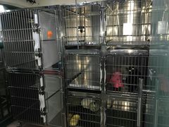 -安安宠医宠物医院·异宠·犬猫内科(岳阳分院)
