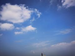 -呼兰河口湿地公园