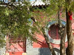 -泰山风景名胜区