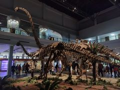 -自贡恐龙博物馆