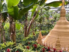 -南宫五洲植物乐园