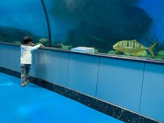 -泉城欧乐堡海洋极地世界