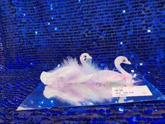 -金宝贝早教(南山花园城店)