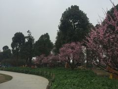 -秀丽东方