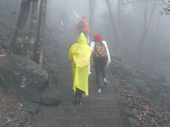 -银瓶嘴森林公园