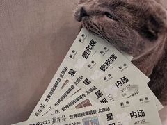 -山西体育中心红灯笼体育场