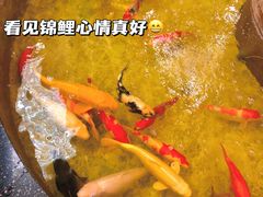 -古莲·影院足道·按摩SPA(水上温泉店)