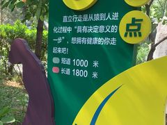 -北京周口店北京人遗址博物馆