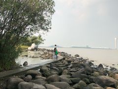 -上海吴淞炮台湾国家湿地公园