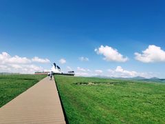 -郭莽湿地