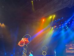 -重庆国际马戏城