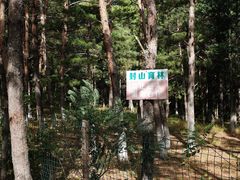 -帽儿山国家森林公园