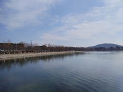 -羊山湖公园