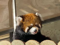 -Zoolung Zoolung动物主题公园(海信广场店)