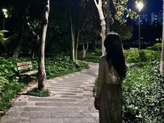 -青枫公园