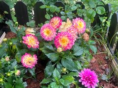 -陶祖圣境风景区