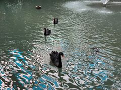 -第五季龙水凤港生态露营农场