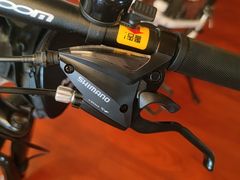 -道路口单车爱瓦士dahon大行