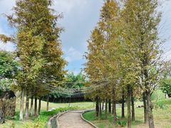 -东方艺术博物馆