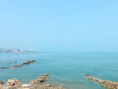 -小麦岛公园
