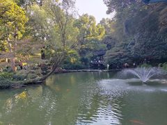 -杭州植物园