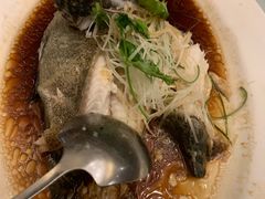 -苏浙汇(朝外店)
