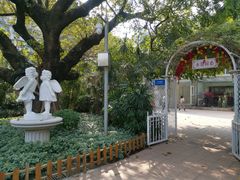 -东风公园