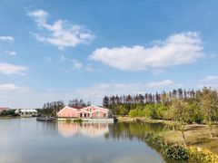 -上海长兴岛郊野公园